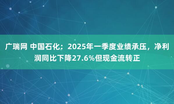 广瑞网 中国石化：2025年一季度业绩承压，净利润同比下降27.6%但现金流转正