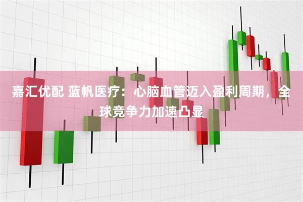 嘉汇优配 蓝帆医疗：心脑血管迈入盈利周期，全球竞争力加速凸显