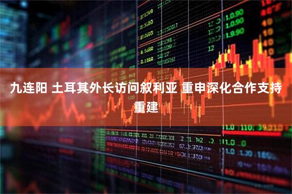 九连阳 土耳其外长访问叙利亚 重申深化合作支持重建