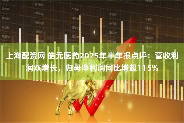 上海配资网 皓元医药2025年半年报点评：营收利润双增长，归母净利润同比增超115%