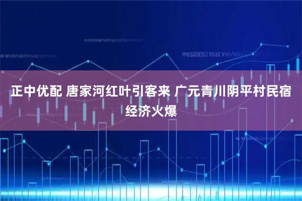 正中优配 唐家河红叶引客来 广元青川阴平村民宿经济火爆