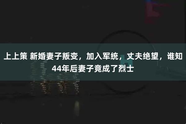 上上策 新婚妻子叛变，加入军统，丈夫绝望，谁知44年后妻子竟成了烈士
