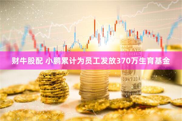 财牛股配 小鹏累计为员工发放370万生育基金