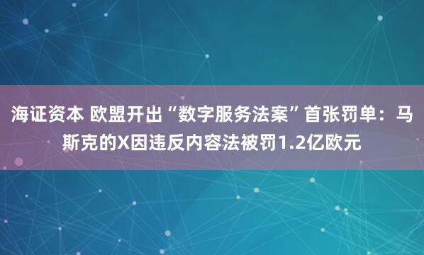 海证资本 欧盟开出“数字服务法案”首张罚单：马斯克的X因违反内容法被罚1.2亿欧元