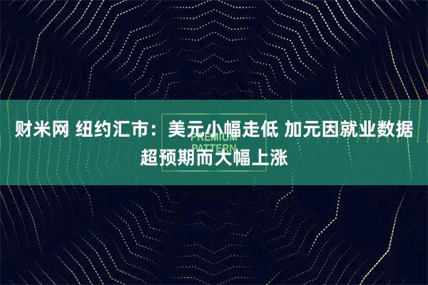 财米网 纽约汇市:美元小幅走低 加元因就业数据超预期而大幅上涨