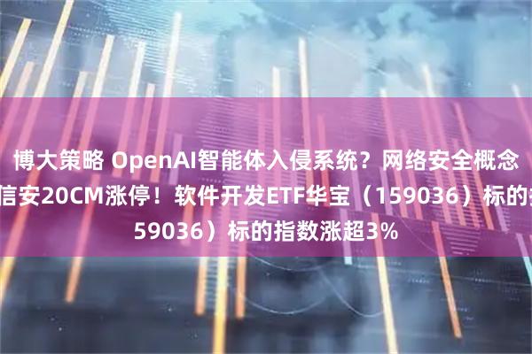 博大策略 OpenAI智能体入侵系统？网络安全概念爆发，麒麟信安20CM涨停！软件开发ETF华宝（159036）标的指数涨超3%